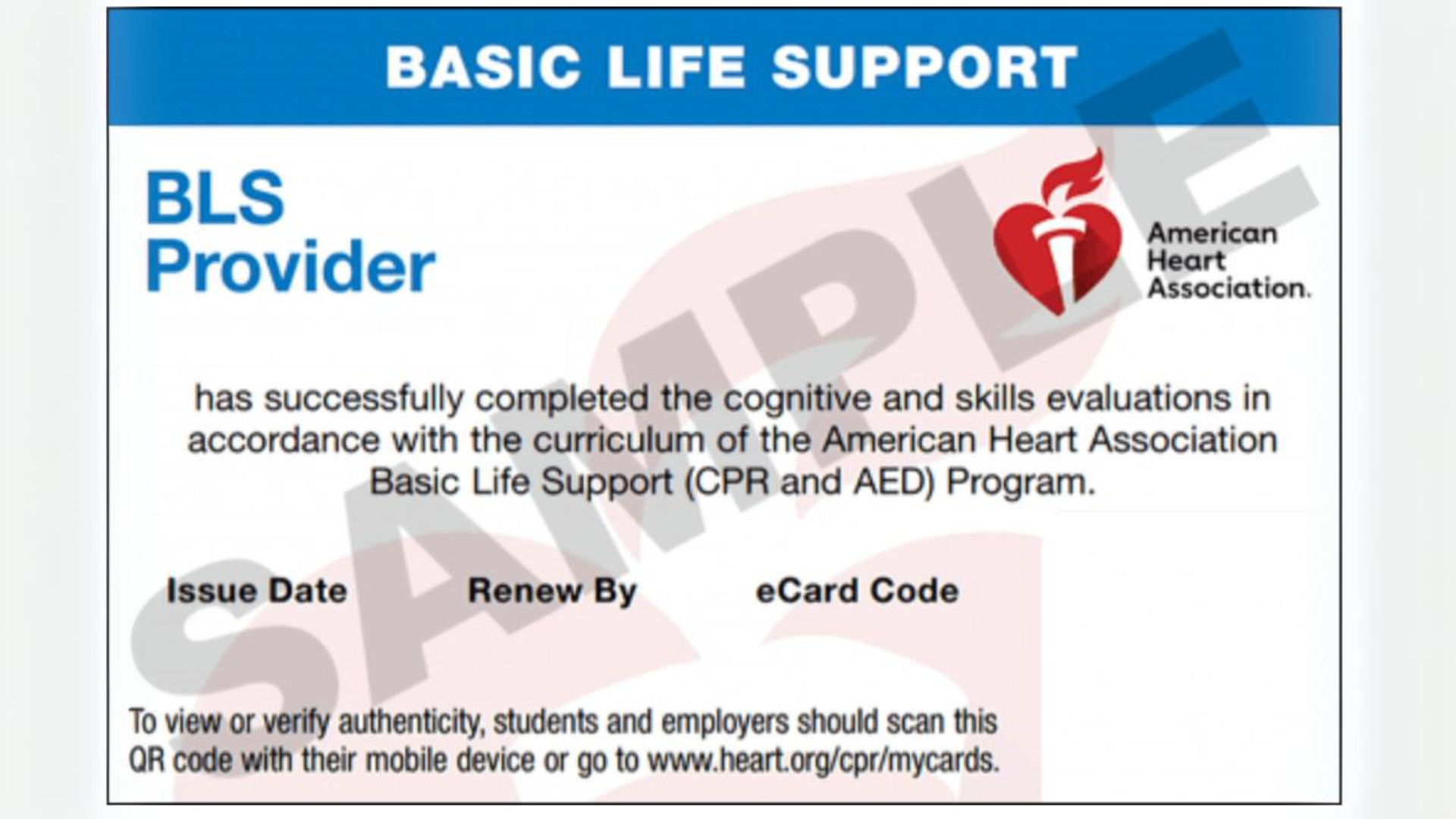 bls-certification-card Chalotte North Carolina