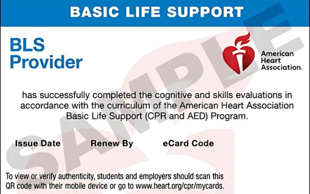 BLS life support certification